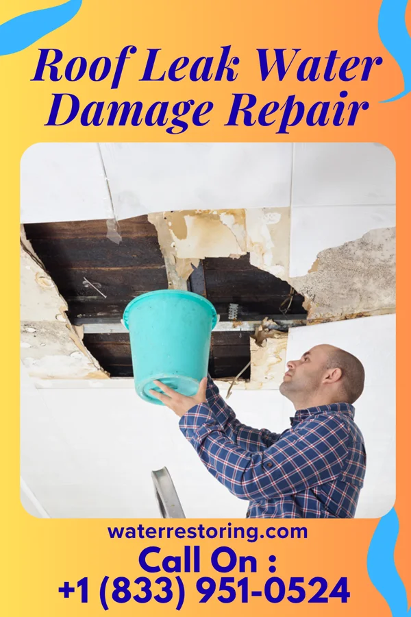 Roof Leak Water Damage Repair in Amboy, IN